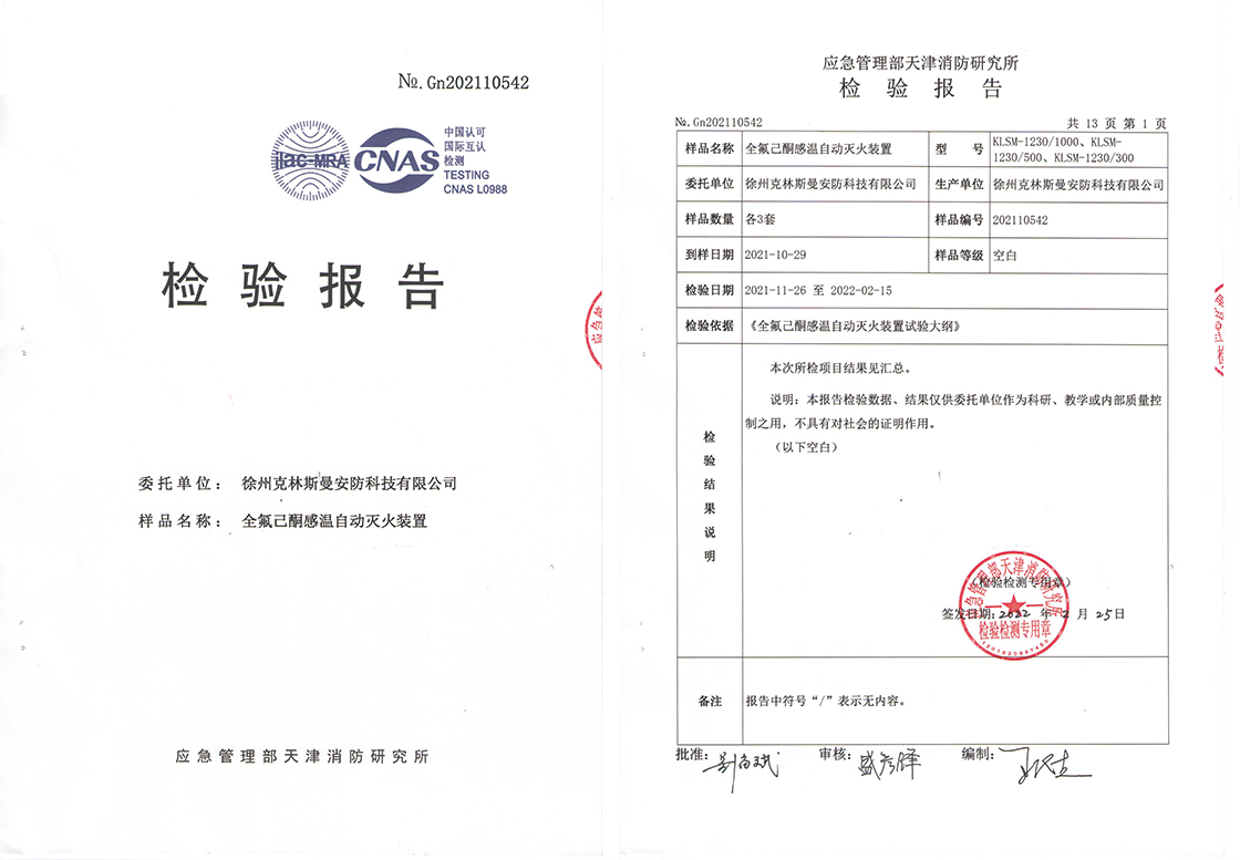 网页调整-1000g报告.jpg